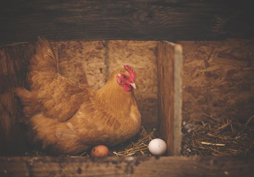 images